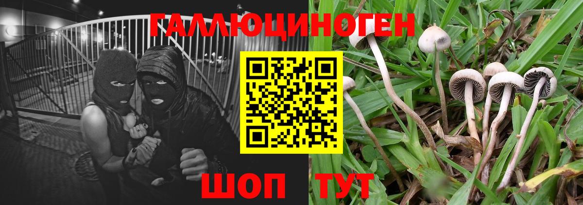 хочу наркоту  Галлюциногенные грибы Cubensis  Горно-Алтайск  Вход с VPN  Псилоцибиновые грибы MAGIC MUSHROOMS 